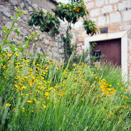 Apartment Dalmatian Garden - Free Parking - Centre