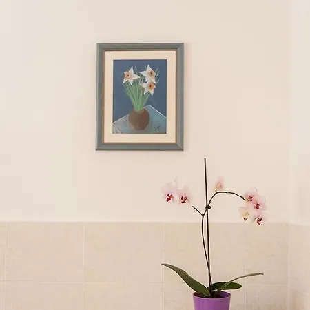 Dalmatian Garden - Free Parking - Centre