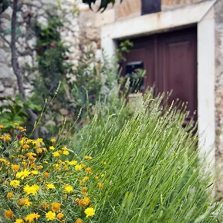 Dalmatian Garden - Free Parking - Centre Apartment