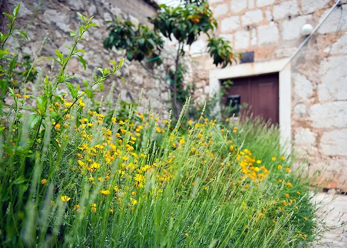 Appartement Dalmatian Garden - Free Parking - Centre