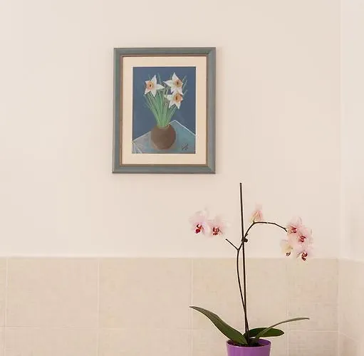 Dalmatian Garden - Free Parking - Centre