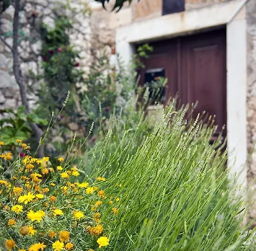 Dalmatian Garden - Free Parking - Centre Apartment